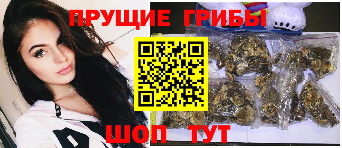 Псилоцибиновые грибы Psilocybine cubensis  Вход с VPN  закладки  Кингисепп  Псилоцибиновые грибы Psilocybine cubensis 